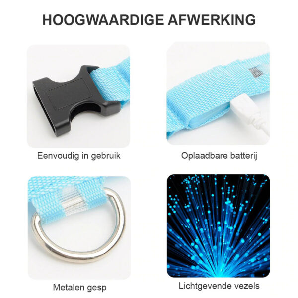 hoogwaardige afwerking webypet