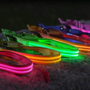 LED halsband