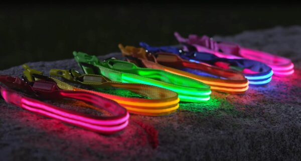 Verlichte led honden halsband webypet